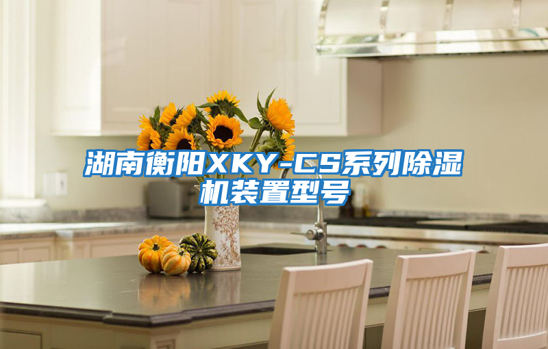 湖南衡陽(yáng)XKY-CS系列除濕機裝置型號