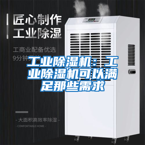 工業(yè)除濕機：工業(yè)除濕機可以滿(mǎn)足那些需求