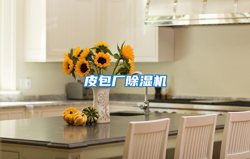 皮包廠(chǎng)除濕機