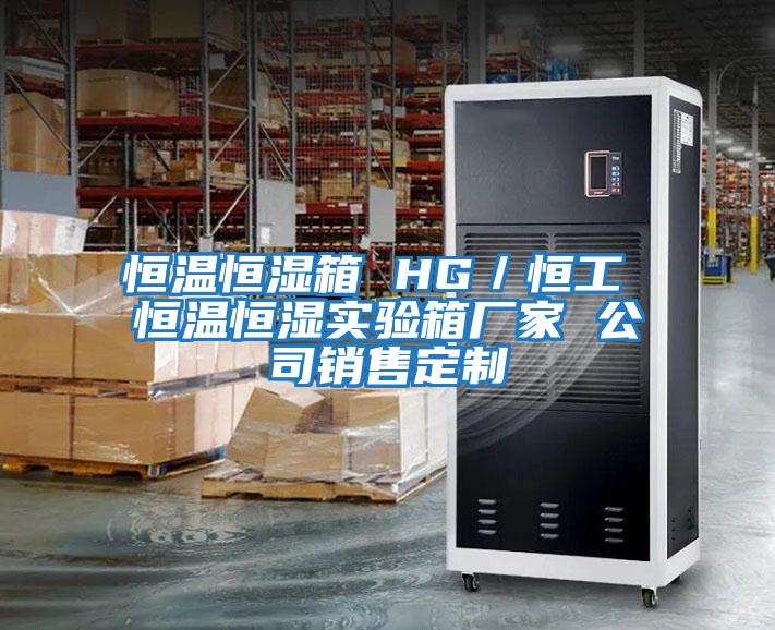 恒溫恒濕箱 HG／恒工 恒溫恒濕實(shí)驗箱廠(chǎng)家 公司銷(xiāo)售定制