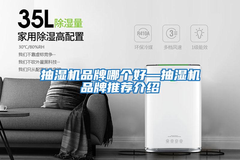 抽濕機品牌哪個(gè)好—抽濕機品牌推薦介紹