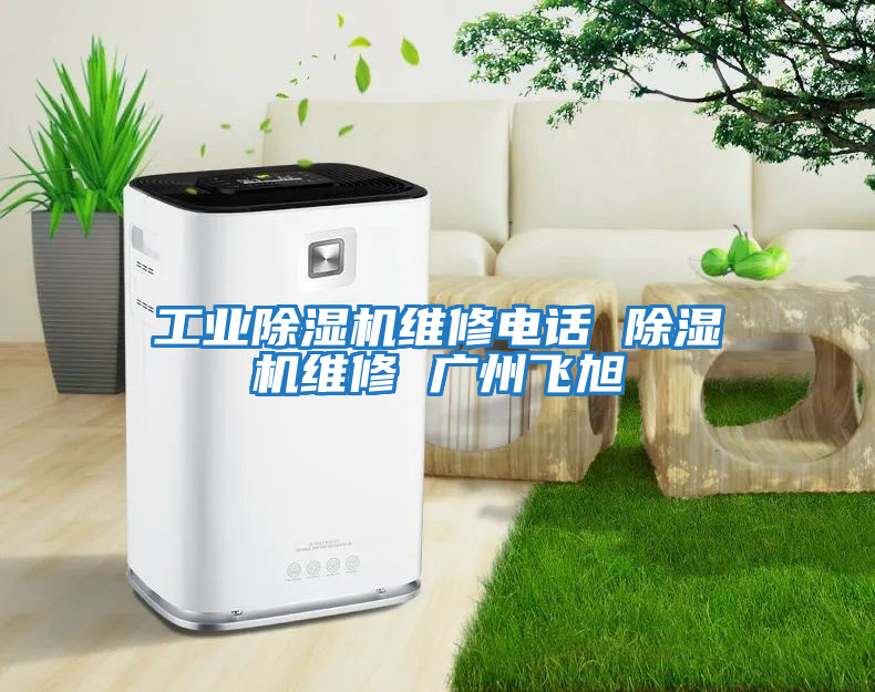 工業(yè)除濕機維修電話(huà) 除濕機維修 廣州飛旭