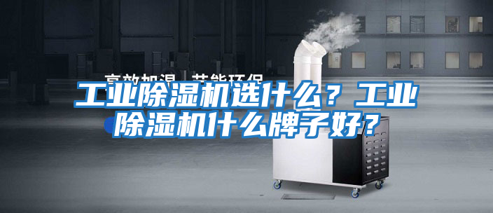 工業(yè)除濕機選什么？工業(yè)除濕機什么牌子好？