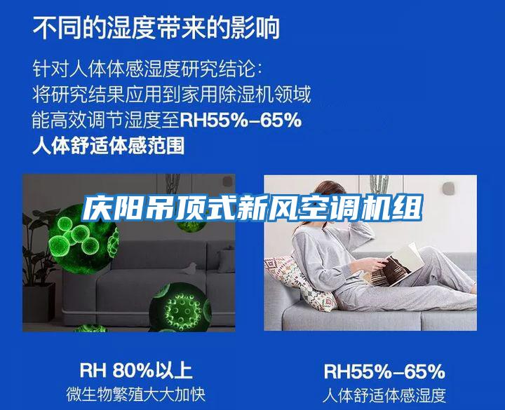 慶陽(yáng)吊頂式新風(fēng)空調機組