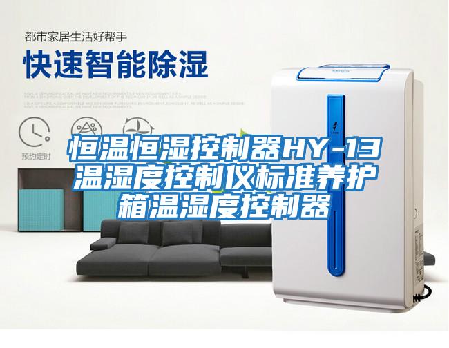恒溫恒濕控制器HY-13溫濕度控制儀標準養護箱溫濕度控制器