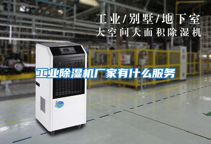 工業(yè)除濕機廠(chǎng)家有什么服務(wù)