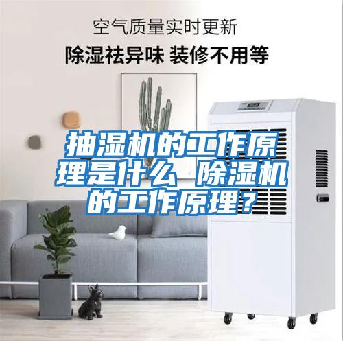 抽濕機的工作原理是什么 除濕機的工作原理？
