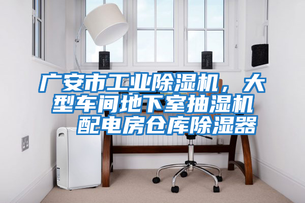 廣安市工業(yè)除濕機，大型車(chē)間地下室抽濕機  配電房倉庫除濕器