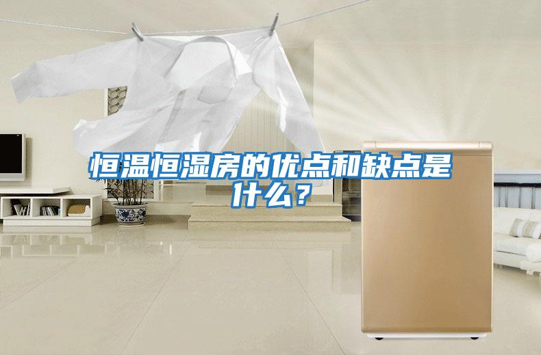 恒溫恒濕房的優(yōu)點(diǎn)和缺點(diǎn)是什么？