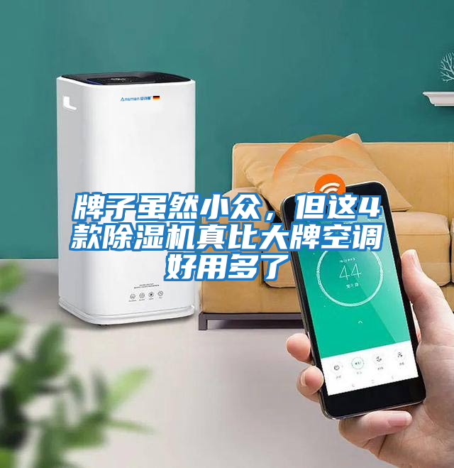 牌子雖然小眾，但這4款除濕機真比大牌空調好用多了