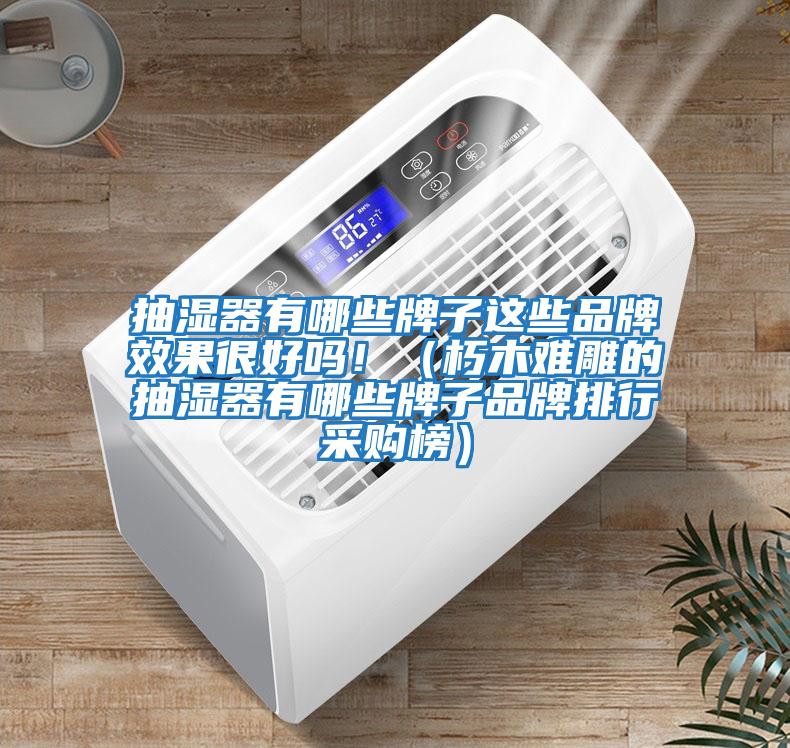 抽濕器有哪些牌子這些品牌效果很好嗎?。ㄐ嗄倦y雕的抽濕器有哪些牌子品牌排行采購榜）