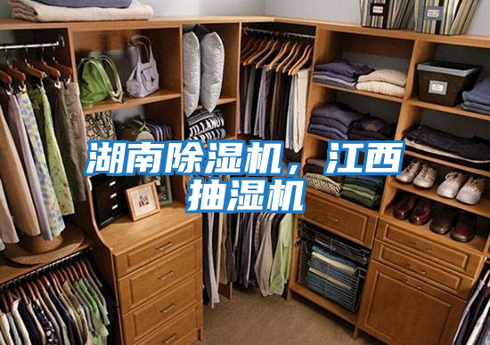 湖南除濕機，江西抽濕機