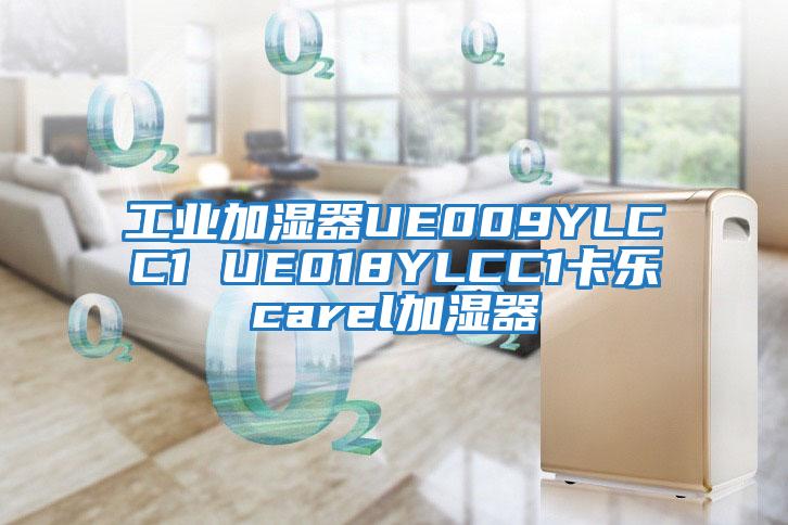 工業(yè)加濕器UE009YLCC1 UE018YLCC1卡樂(lè )carel加濕器