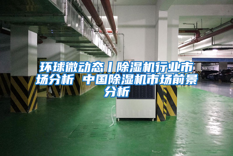 環(huán)球微動(dòng)態(tài)丨除濕機行業(yè)市場(chǎng)分析 中國除濕機市場(chǎng)前景分析