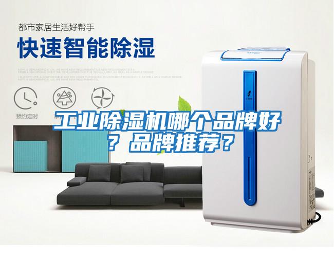 工業(yè)除濕機哪個(gè)品牌好？品牌推薦？