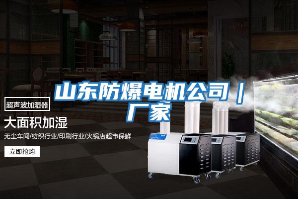 山東防爆電機公司｜廠(chǎng)家