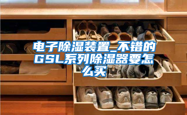 電子除濕裝置_不錯的GSL系列除濕器要怎么買(mǎi)
