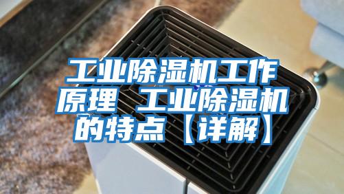 工業(yè)除濕機工作原理 工業(yè)除濕機的特點(diǎn)【詳解】