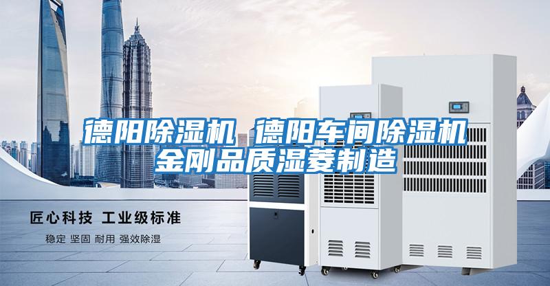 德陽(yáng)除濕機 德陽(yáng)車(chē)間除濕機金剛品質(zhì)濕菱制造