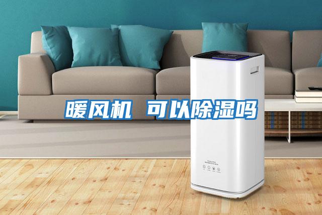 暖風(fēng)機 可以除濕嗎