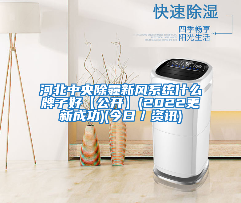 河北中央除霾新風(fēng)系統什么牌子好【公開(kāi)】(2022更新成功)(今日／資訊)