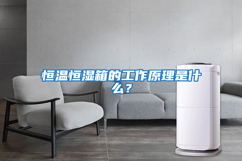 恒溫恒濕箱的工作原理是什么？