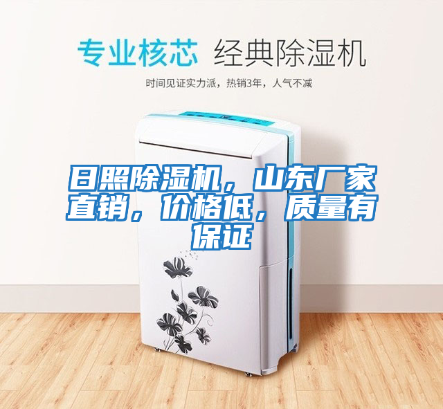 日照除濕機，山東廠(chǎng)家直銷(xiāo)，價(jià)格低，質(zhì)量有保證
