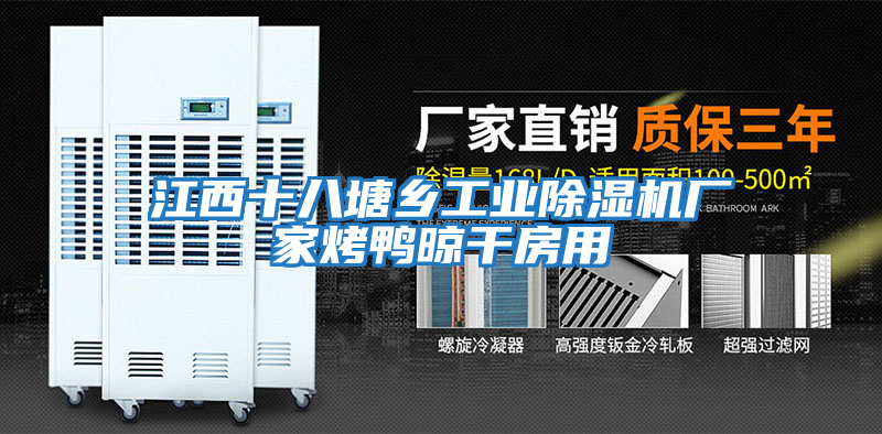 江西十八塘鄉工業(yè)除濕機廠(chǎng)家烤鴨晾干房用