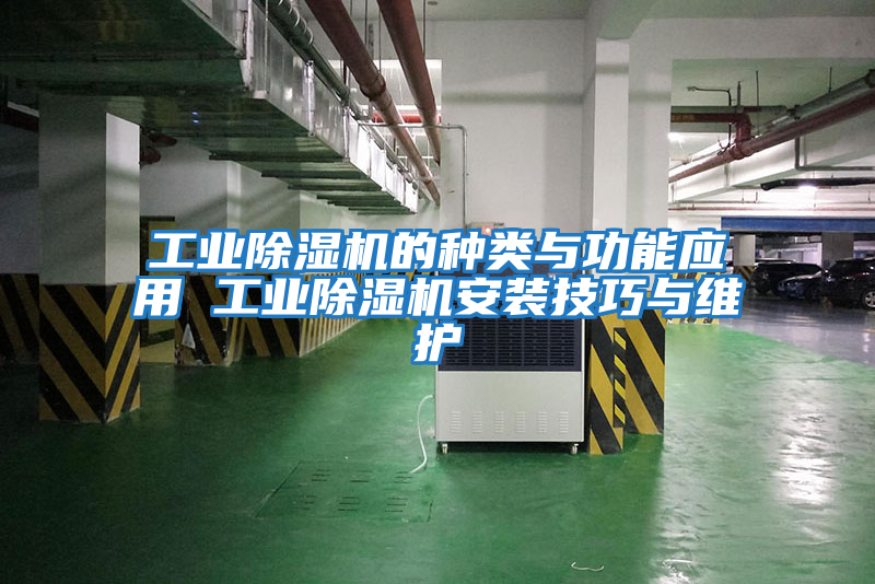 工業(yè)除濕機的種類(lèi)與功能應用 工業(yè)除濕機安裝技巧與維護