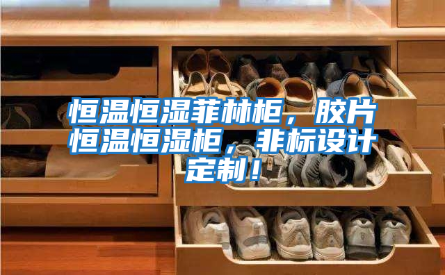 恒溫恒濕菲林柜，膠片恒溫恒濕柜，非標設計定制！