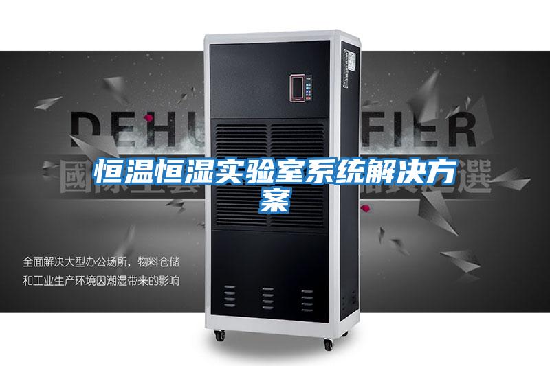 恒溫恒濕實(shí)驗室系統解決方案
