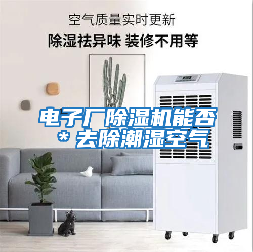 電子廠(chǎng)除濕機能否＊去除潮濕空氣