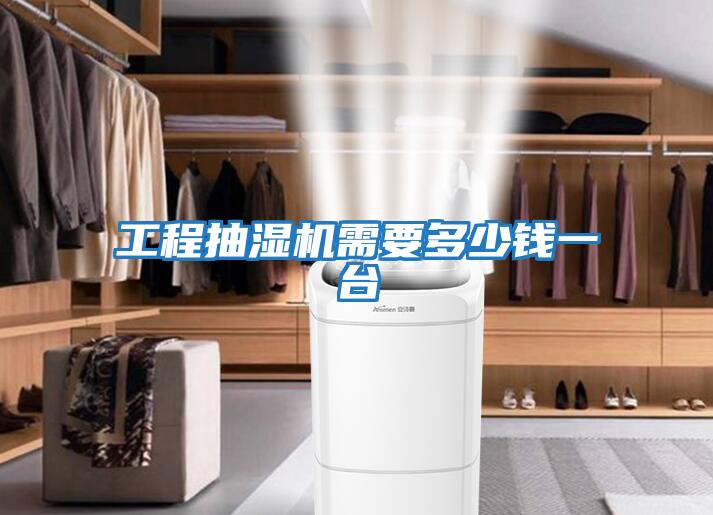 工程抽濕機需要多少錢(qián)一臺