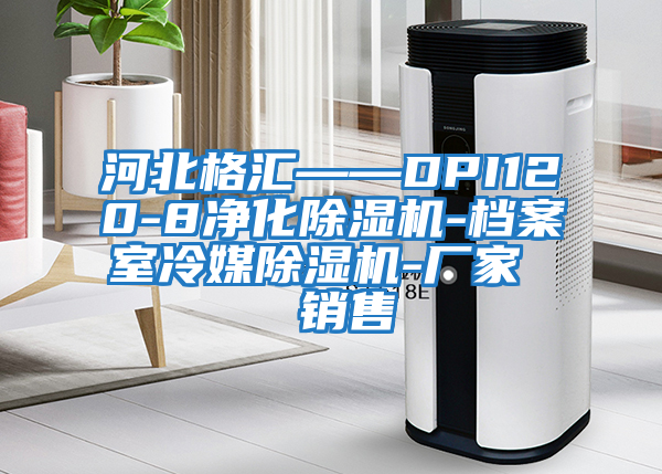 河北格匯——DPI120-8凈化除濕機-檔案室冷媒除濕機-廠(chǎng)家 銷(xiāo)售