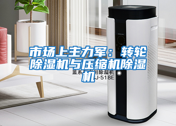 市場(chǎng)上主力軍:轉輪除濕機與壓縮機除濕機