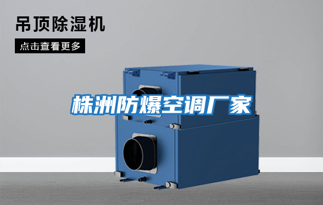 株洲防爆空調廠(chǎng)家