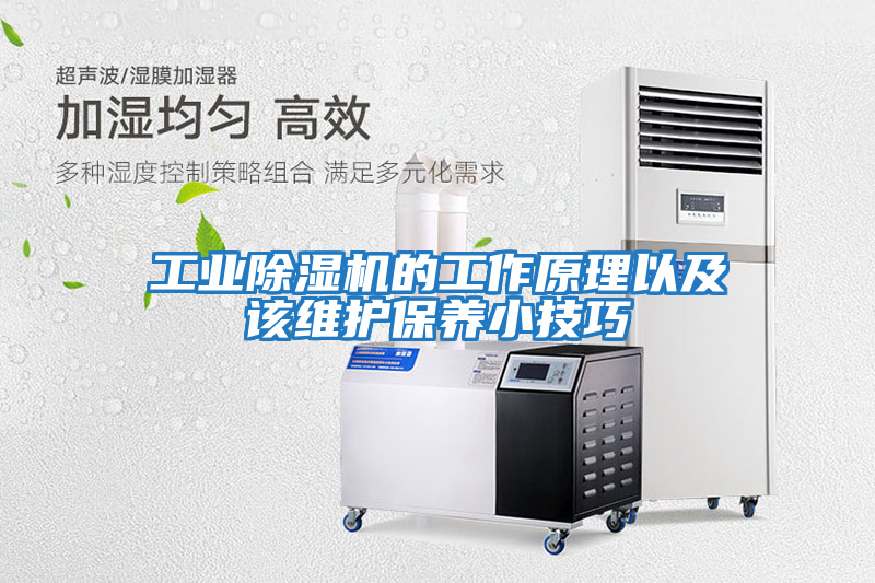 工業(yè)除濕機的工作原理以及該維護保養小技巧