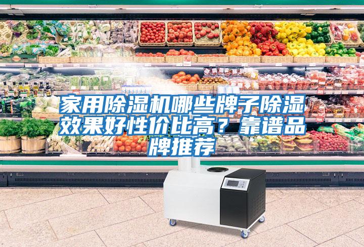 家用除濕機哪些牌子除濕效果好性?xún)r(jià)比高？靠譜品牌推薦