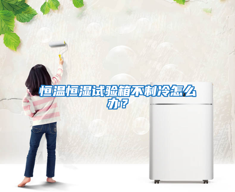 恒溫恒濕試驗箱不制冷怎么辦？