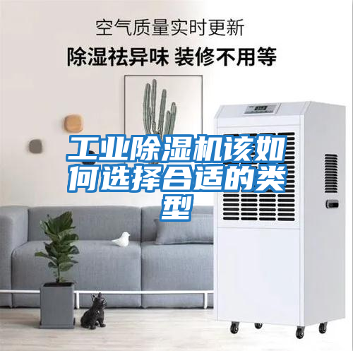 工業(yè)除濕機該如何選擇合適的類(lèi)型