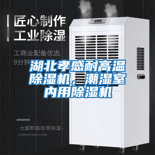 湖北孝感耐高溫除濕機，潮濕室內用除濕機