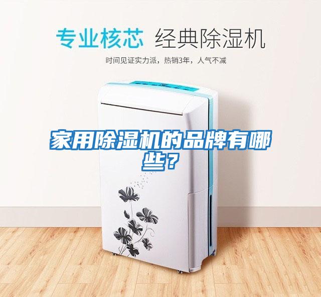 家用除濕機的品牌有哪些？