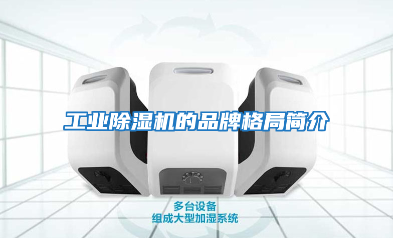 工業(yè)除濕機的品牌格局簡(jiǎn)介