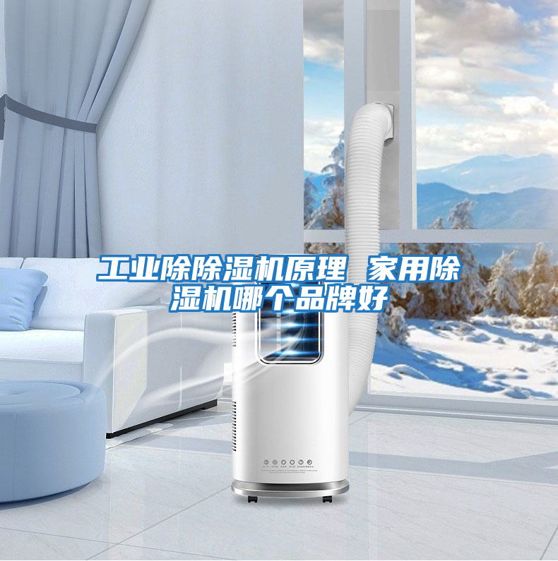 工業(yè)除除濕機原理 家用除濕機哪個(gè)品牌好