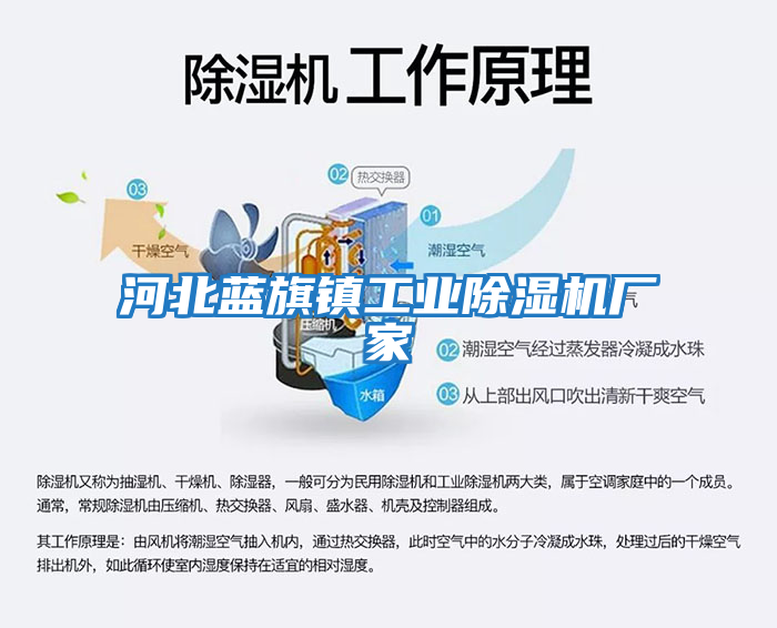 河北藍旗鎮工業(yè)除濕機廠(chǎng)家