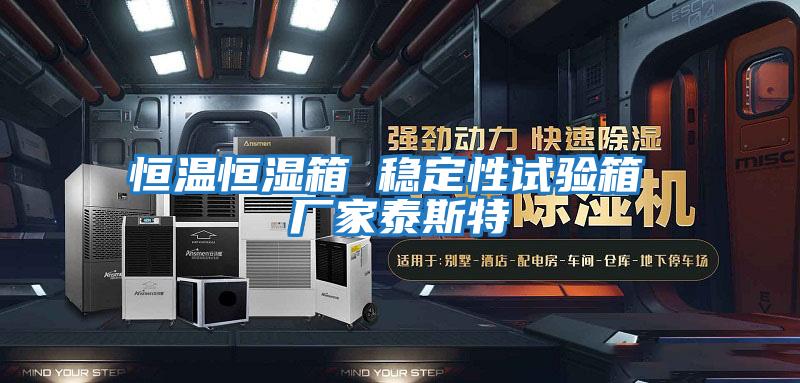 恒溫恒濕箱 穩定性試驗箱 廠(chǎng)家泰斯特