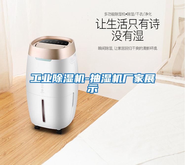 工業(yè)除濕機-抽濕機廠(chǎng)家展示