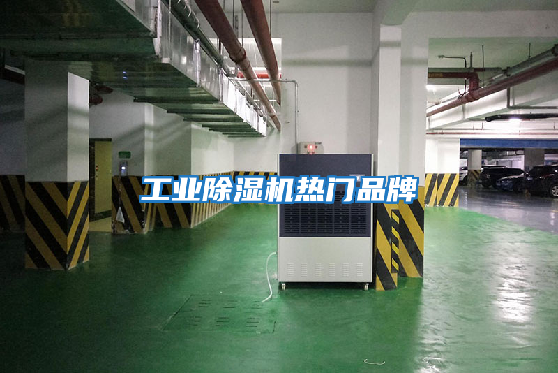 工業(yè)除濕機熱門(mén)品牌