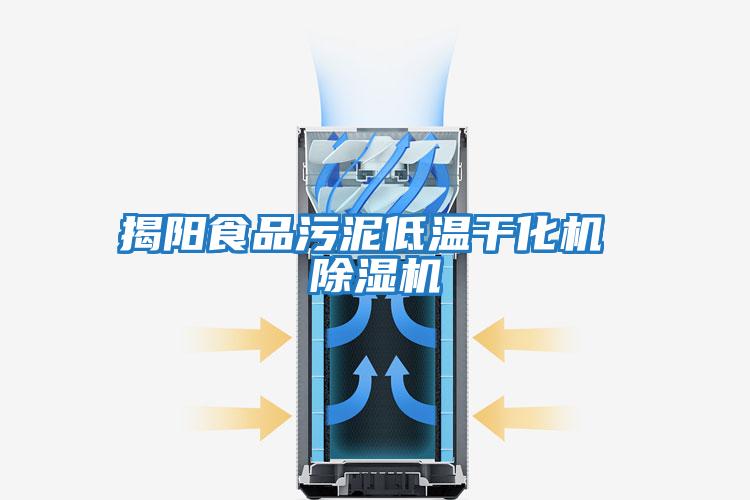 揭陽(yáng)食品污泥低溫干化機 除濕機