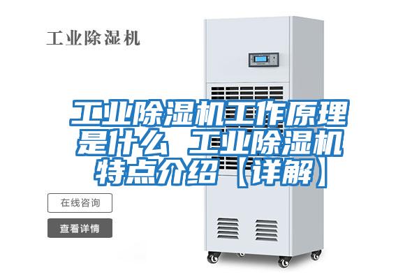 工業(yè)除濕機工作原理是什么 工業(yè)除濕機特點(diǎn)介紹【詳解】